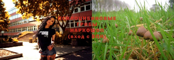 гашик Белоозёрский