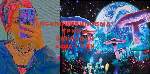 гашик Белоозёрский