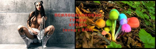 гашик Белоозёрский