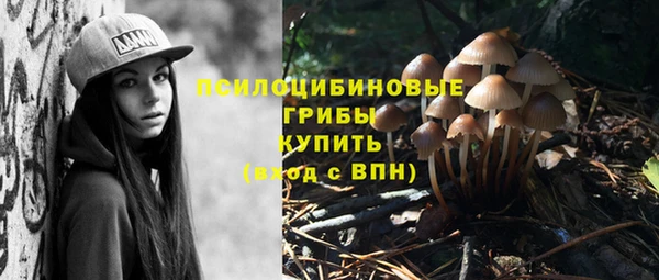 гашик Белоозёрский